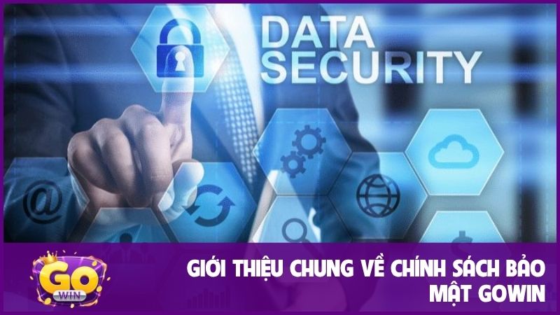 Chính sách bảo mật GOWIN nêu rõ các nguyên tắc 