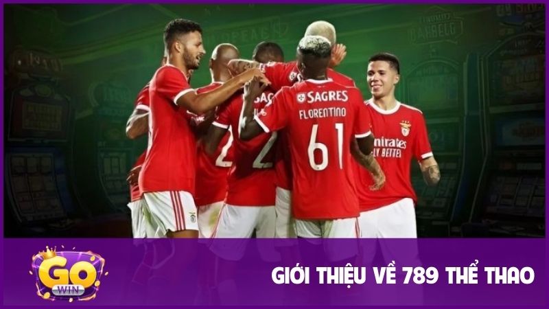 789 Thể Thao - Sân Chơi Cá Cược Tỷ Lệ Cao Nhất 2025 1 Giới thiệu đôi nét thông tin về 789 thể thao