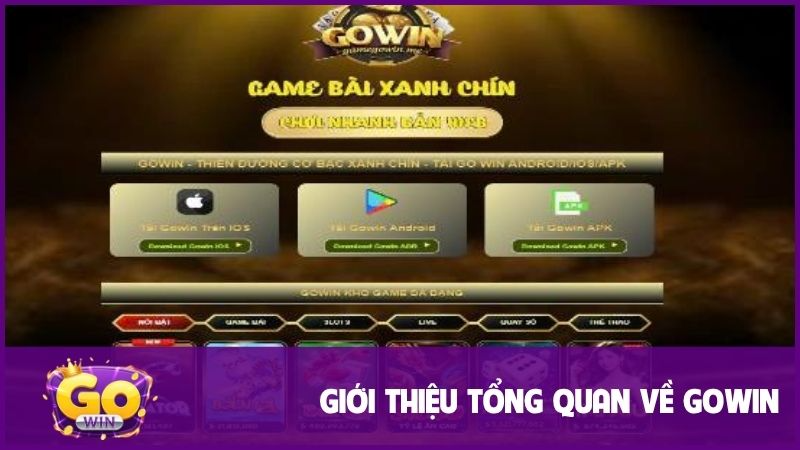 GOWIN - Đỉnh cao giải trí, cơ hội hốt bạc khủng 2025 16 GOWIN hứa hẹn mang lại nhiều sản phẩm cá cược đỉnh cao