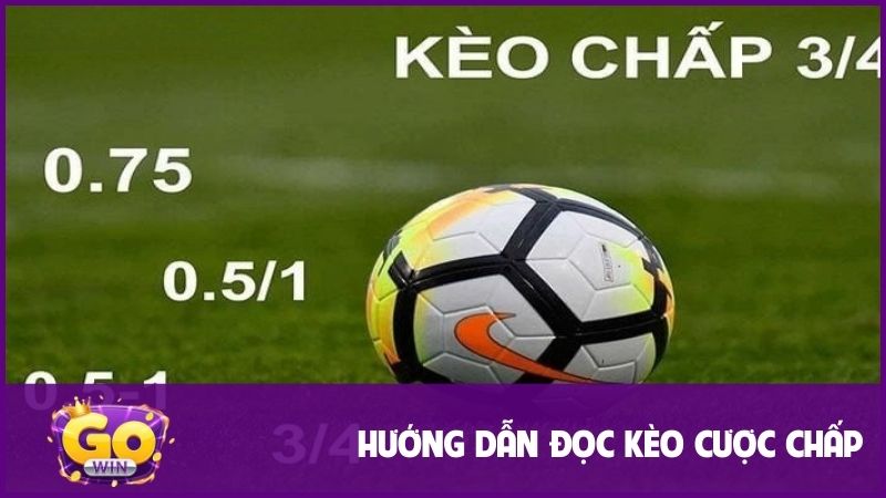 Kèo chấp - Hướng dẫn đọc hiệu quả dành cho các Newbie 2 Cập nhật đầy đủ các hình thức kèo chấp