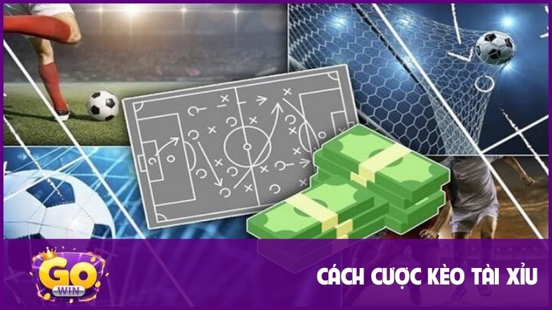 Kèo Tài Xỉu - Loại Hình Cực Dễ, Nhận Thưởng Cực Nhanh 2 Kiến thức cơ bản khi tham gia kèo tài xỉu