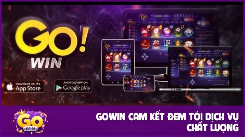 GOWIN khẳng định mang đến dịch vụ đỉnh cao, chất lượng hàng đầu